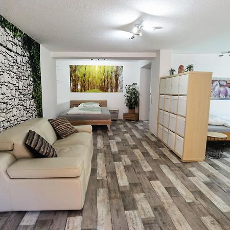 Ferienwohnung - Appartement "Painted Horse" Im Herzen Des Pfaelzer Waldes Reichenbach-Steegen Εξωτερικό φωτογραφία