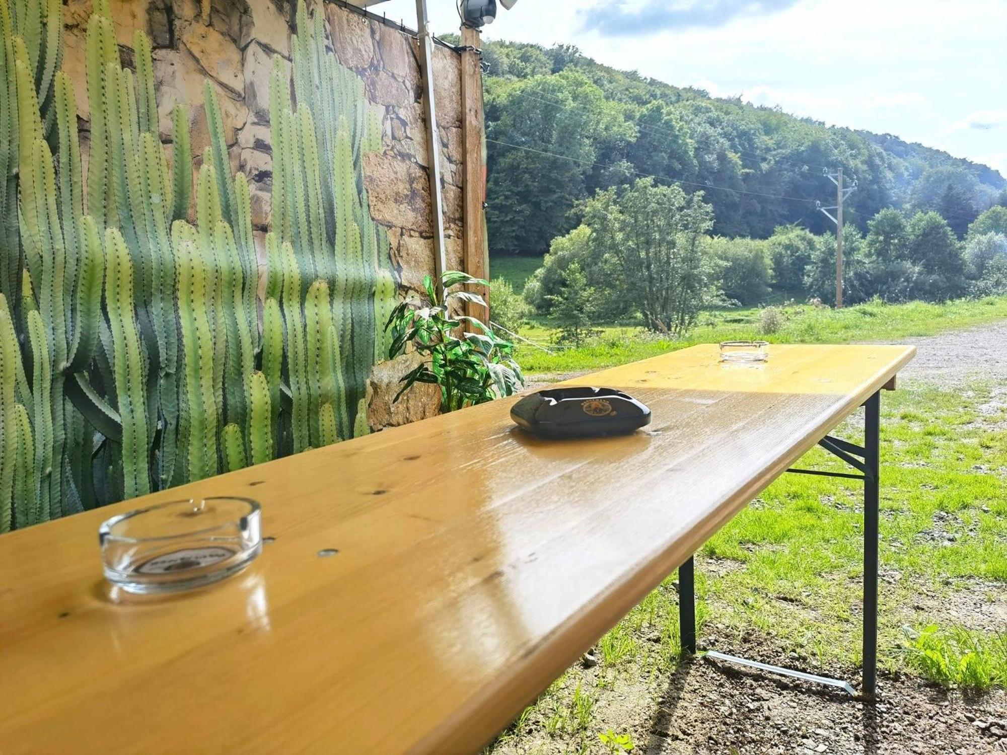 Ferienwohnung - Appartement "Painted Horse" Im Herzen Des Pfaelzer Waldes Reichenbach-Steegen Εξωτερικό φωτογραφία