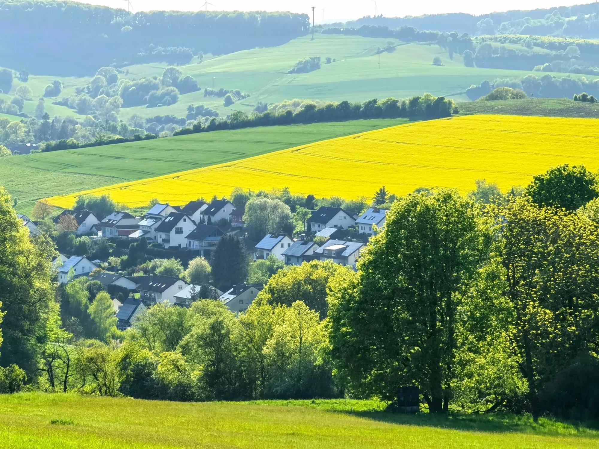 Ferienwohnung - Appartement "Painted Horse" Im Herzen Des Pfaelzer Waldes Reichenbach-Steegen Εξωτερικό φωτογραφία